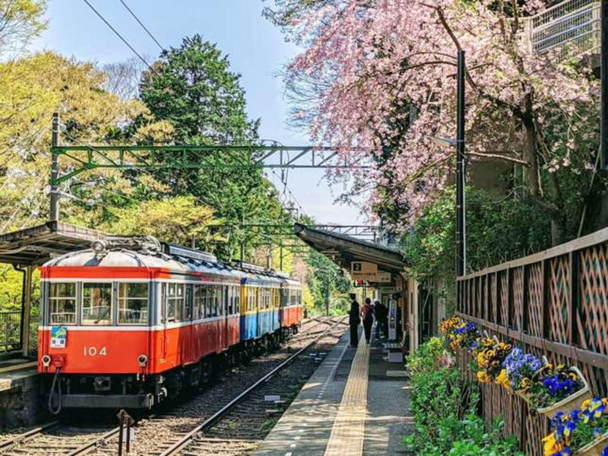 Hotel Morinokaze Hakone Sengokuhara Ngoại thất bức ảnh