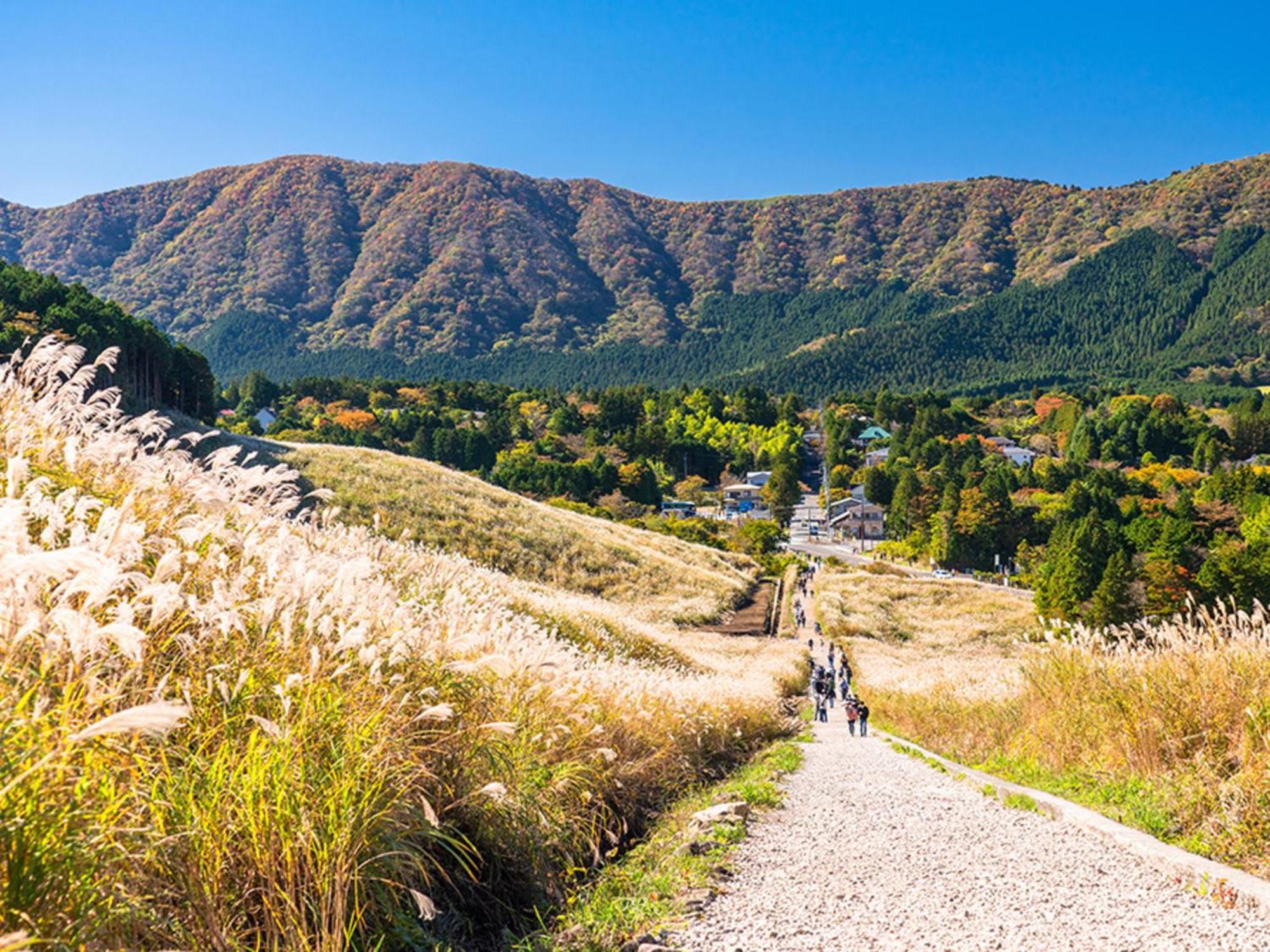 Hotel Morinokaze Hakone Sengokuhara Ngoại thất bức ảnh